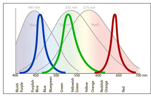 LUYOR-3260荧光蛋白激发光源光谱图