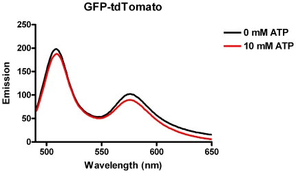 tdtomato红色荧光蛋白的激发波长是多少